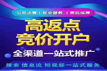 实战案例：SEM广告投放的优化策略